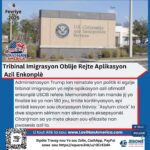Tribinal Imigrasyon Oblije Rejte Aplikasyon Azil Enkonplè